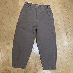 Everlane - Taupe Cargo Pants (size: 12)